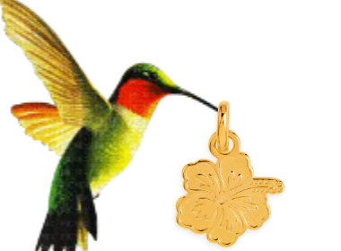Bijoux Créoles
